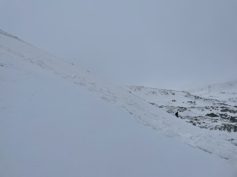 Observation photo 2