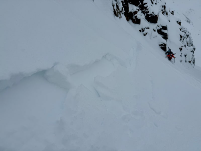 Observation photo 5