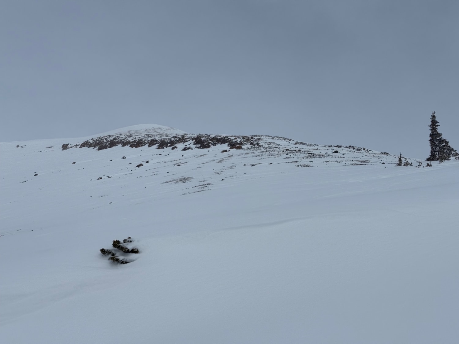 Observation photo