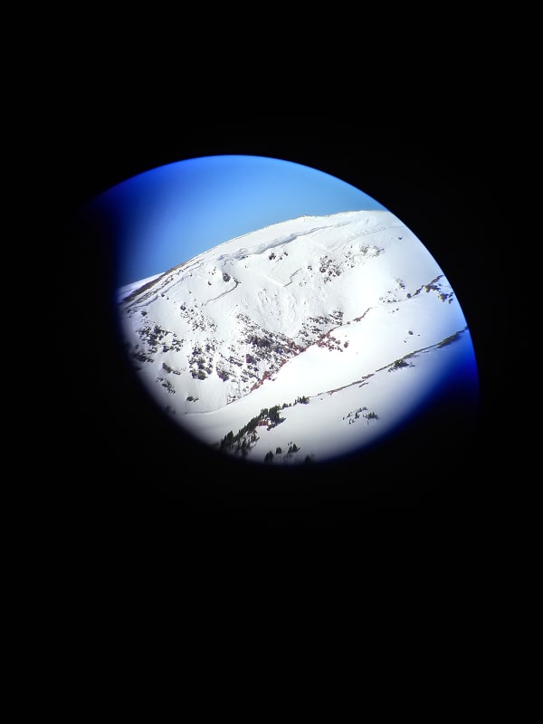 Observation photo 4