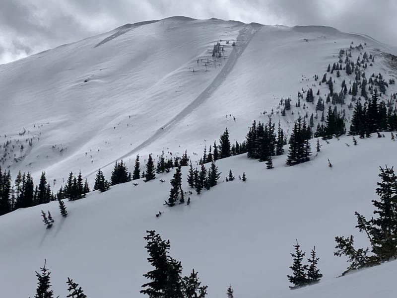 Observation photo 2