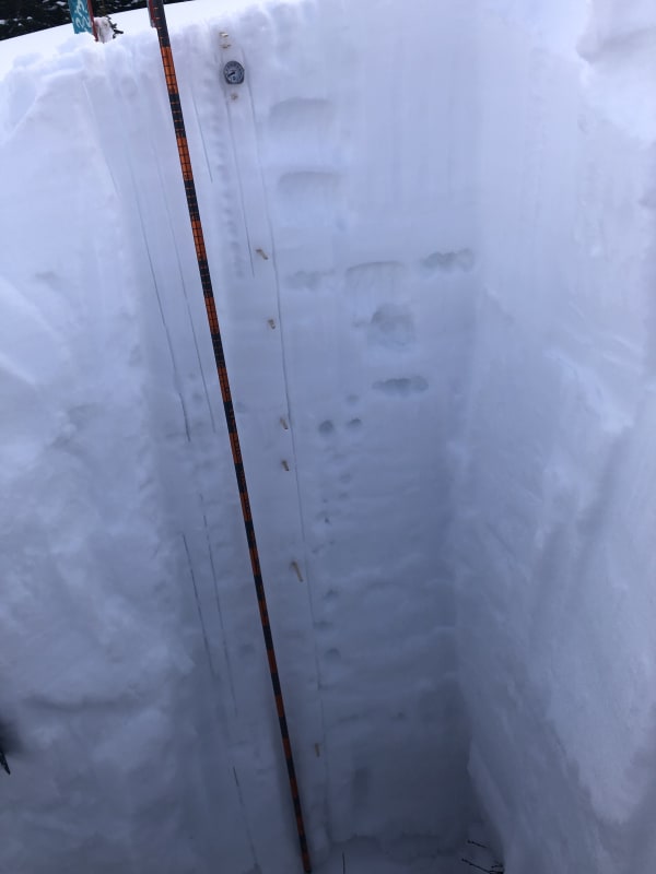 Observation photo 1