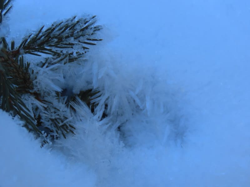 Observation photo 5