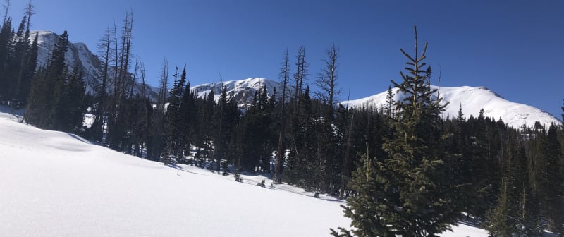 Observation photo 1