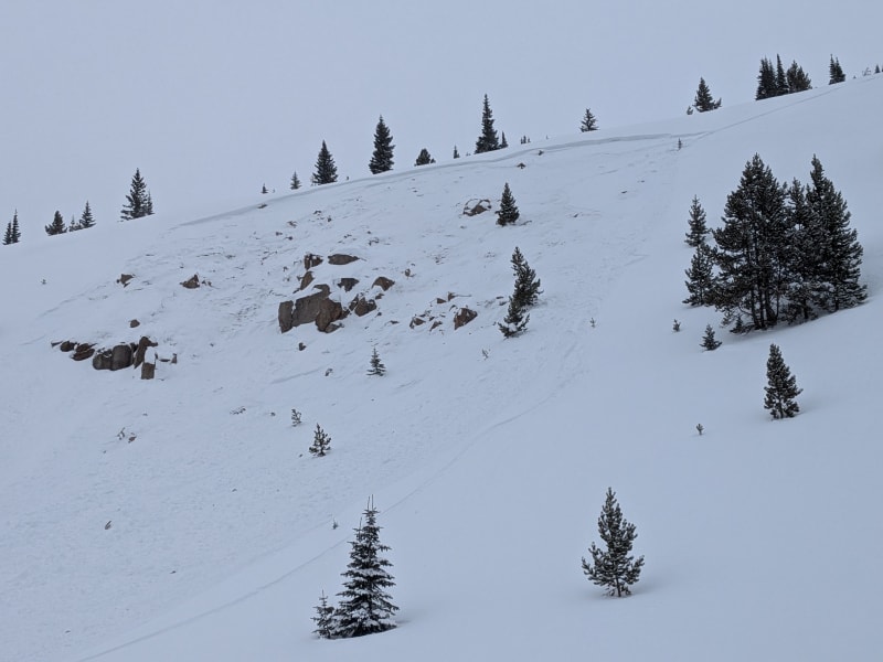 Observation photo 2