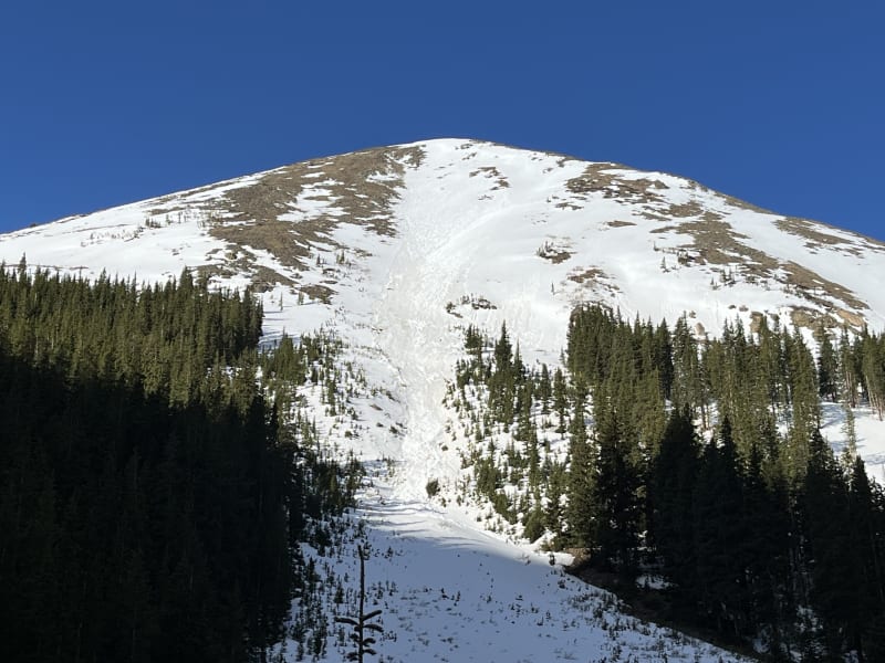 Observation photo 1