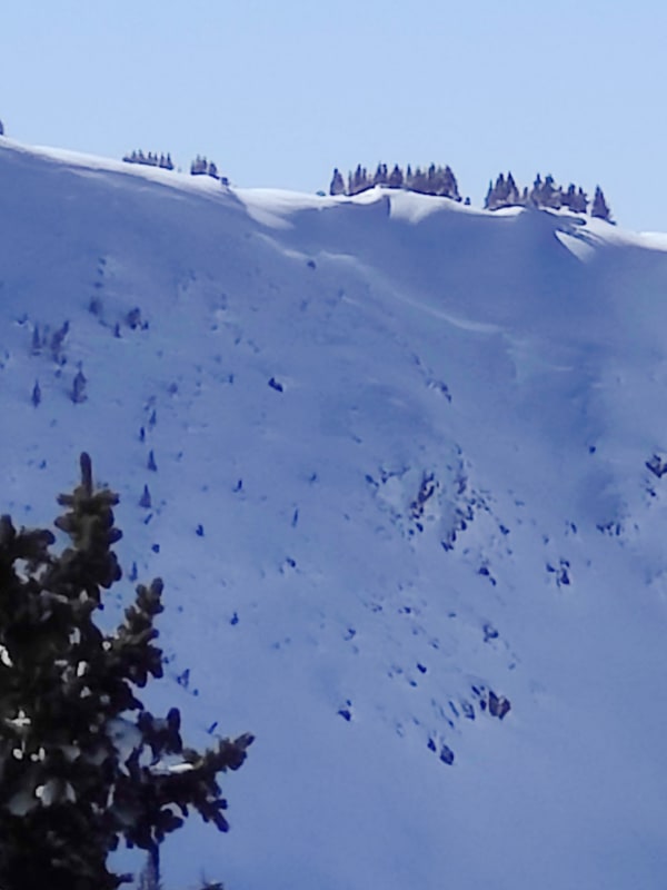 Observation photo 1