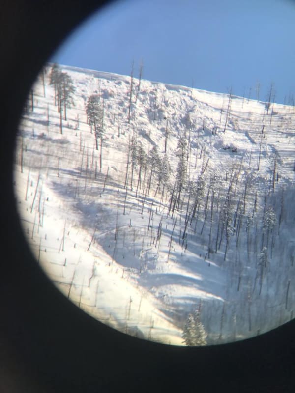 Observation photo 1