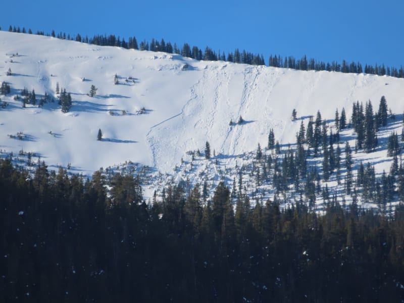 Observation photo 1
