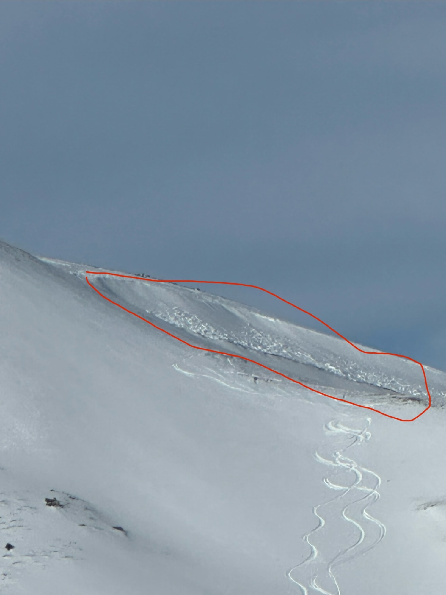 Observation photo