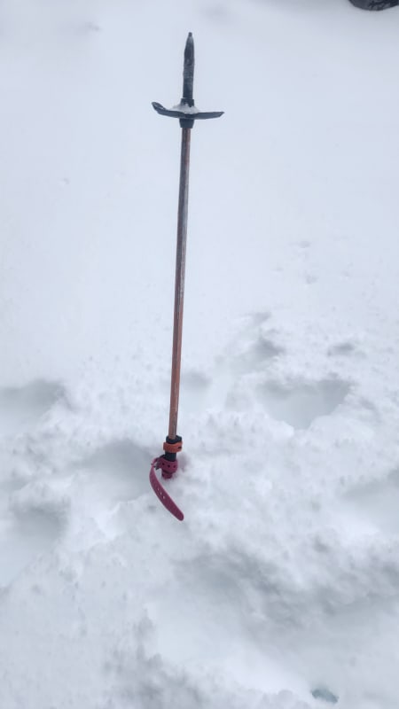 Observation photo 2
