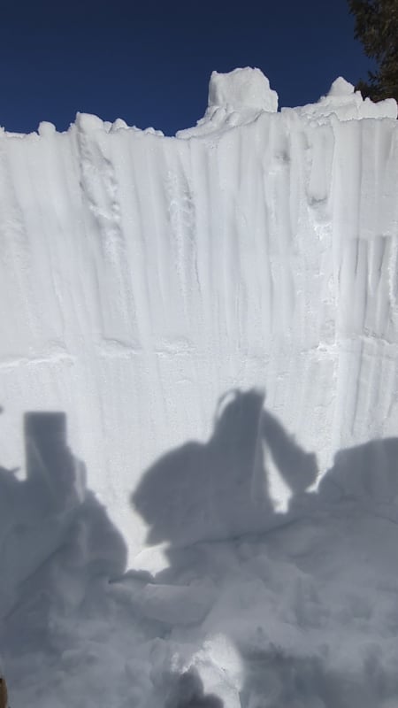 Observation photo 1