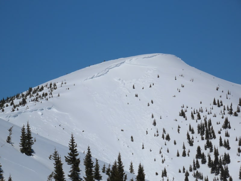 Observation photo 1
