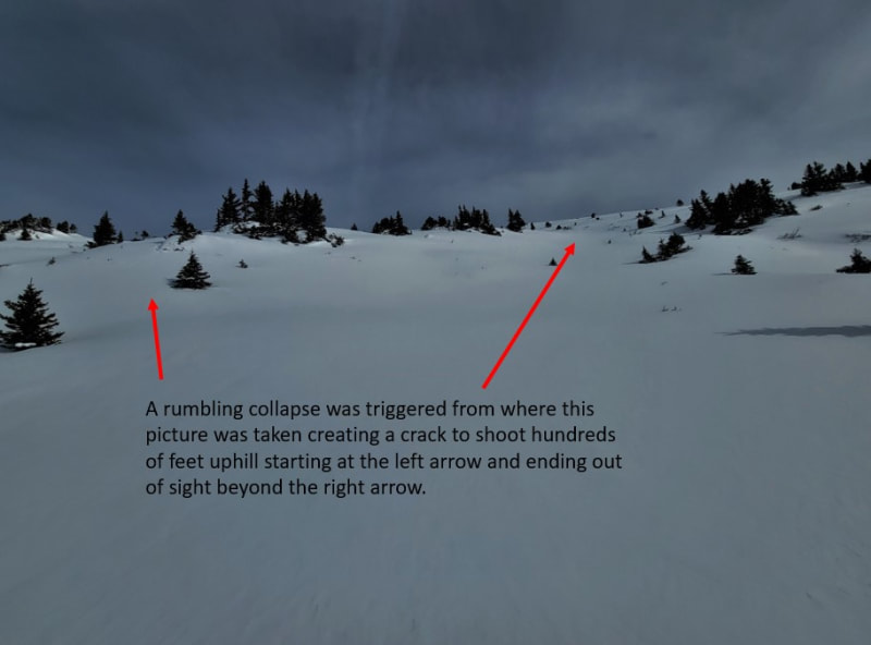 Observation photo 1