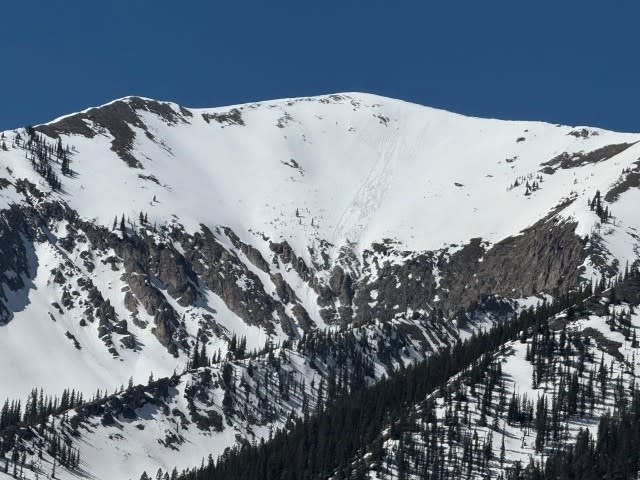 Observation photo 1