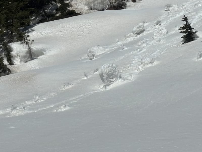 Observation photo 5