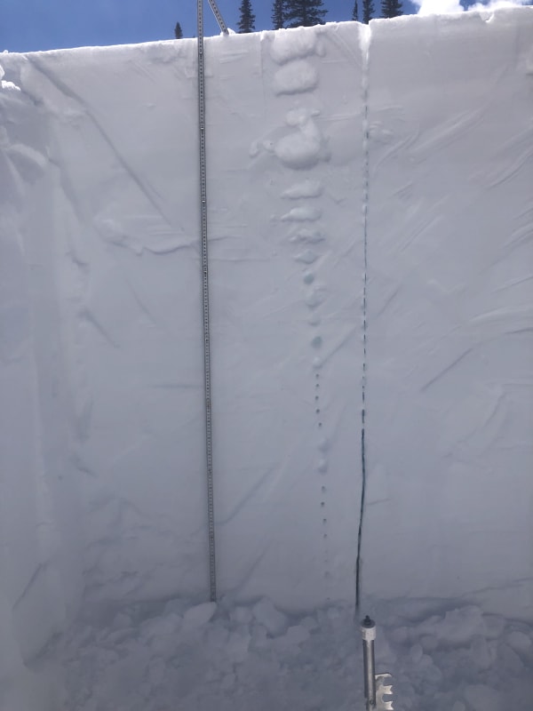 Observation photo 2