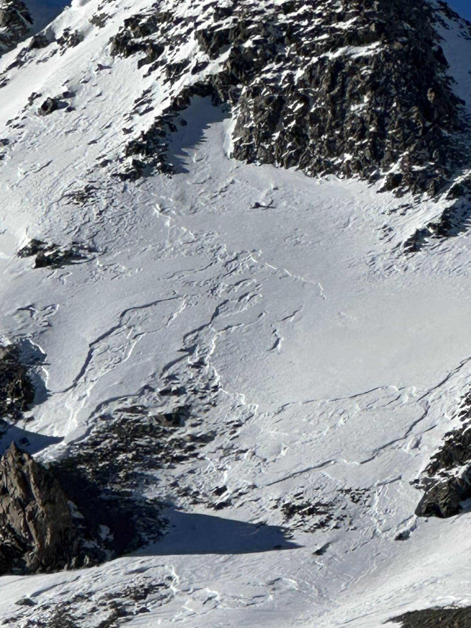 Observation photo