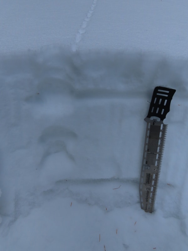 Observation photo 2