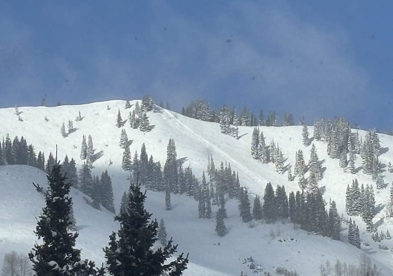 Observation photo 2