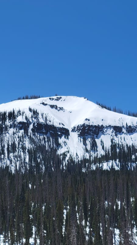 Observation photo 1