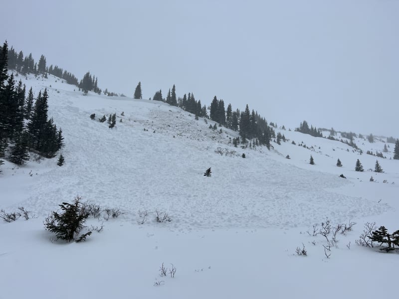 Observation photo 5