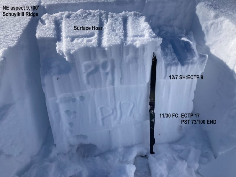 Observation photo 2
