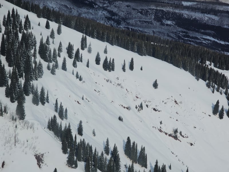 Observation photo 2