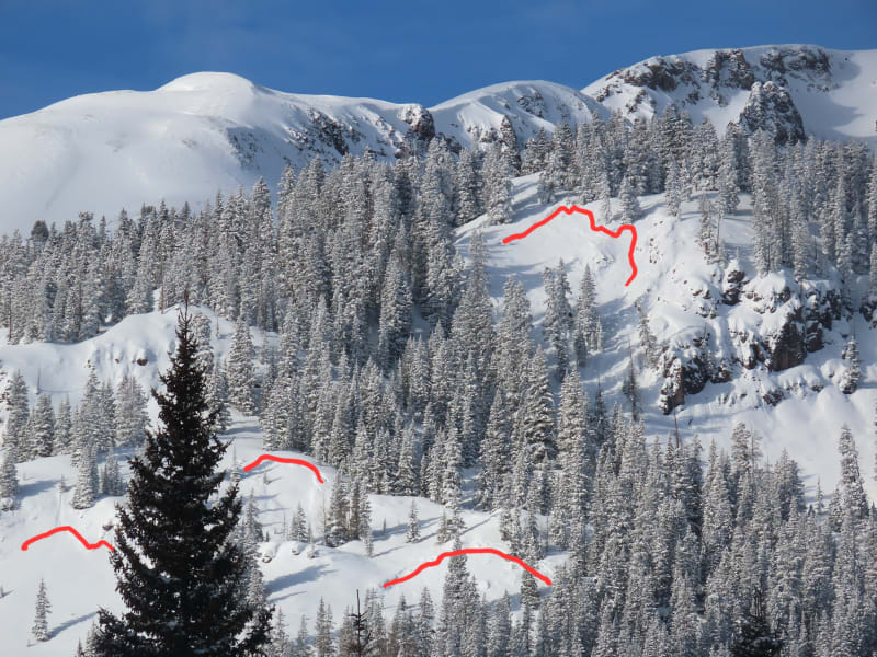 Observation photo 1