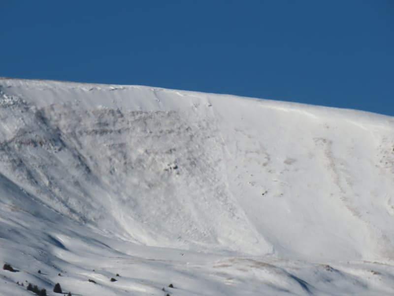 Observation photo 1
