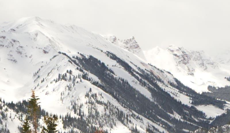 Observation photo 1