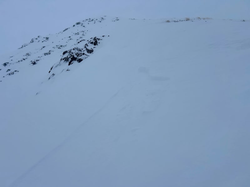 Observation photo 5