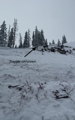 Observation photo 1