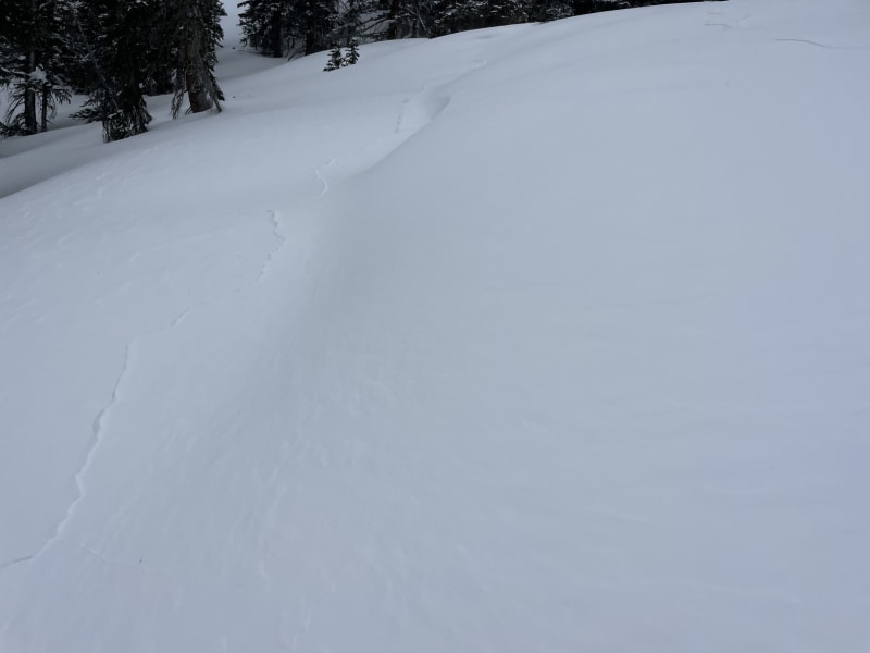 Observation photo 3