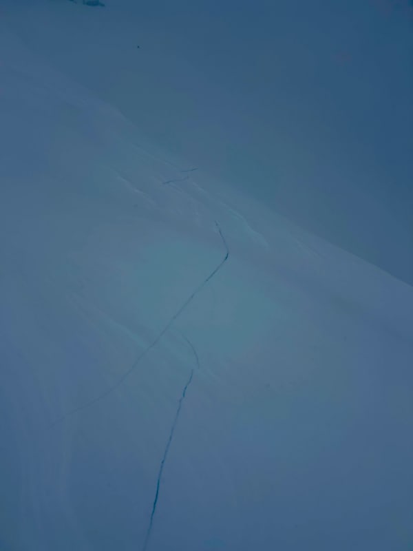 Observation photo 2