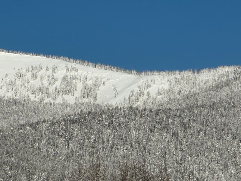 Observation photo 8