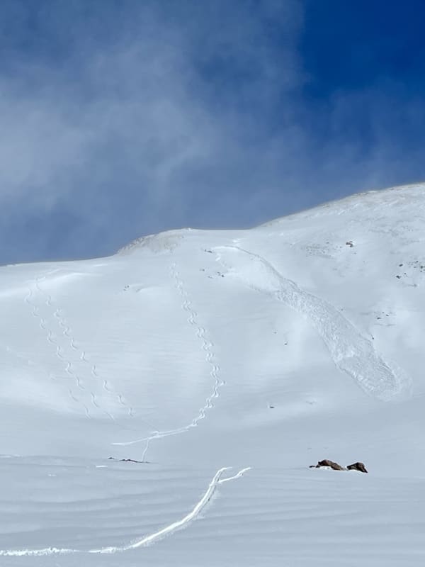 Observation photo 1