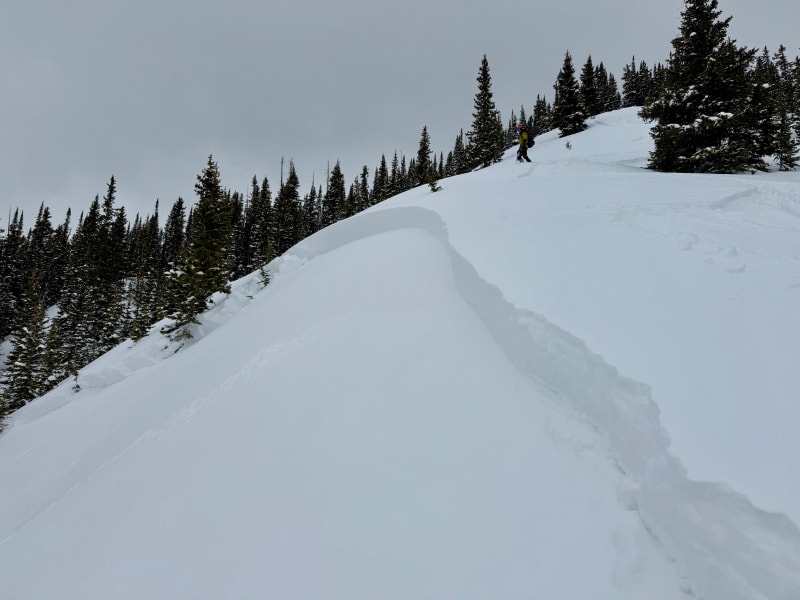 Observation photo 1