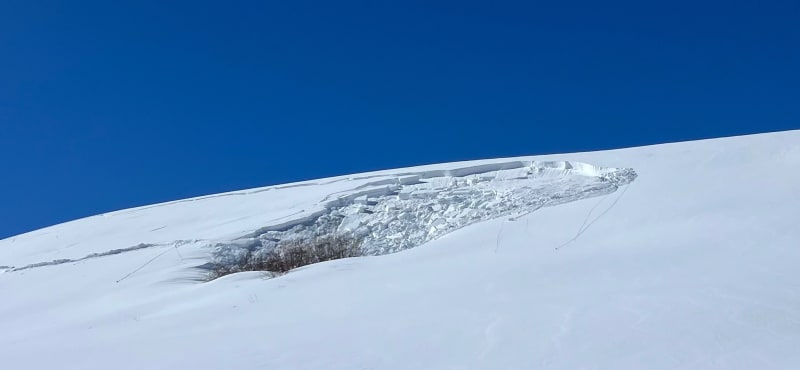 Observation photo 1