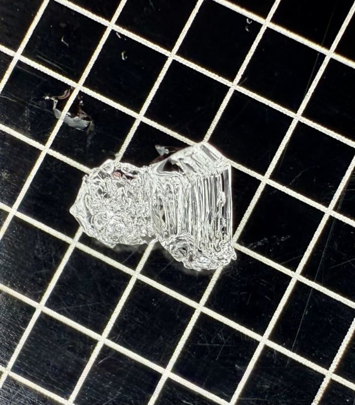 Observation photo 5