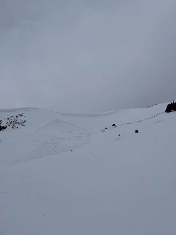 Observation photo 1