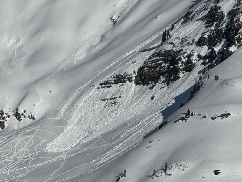 Observation photo 1