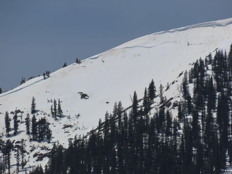 Observation photo 5