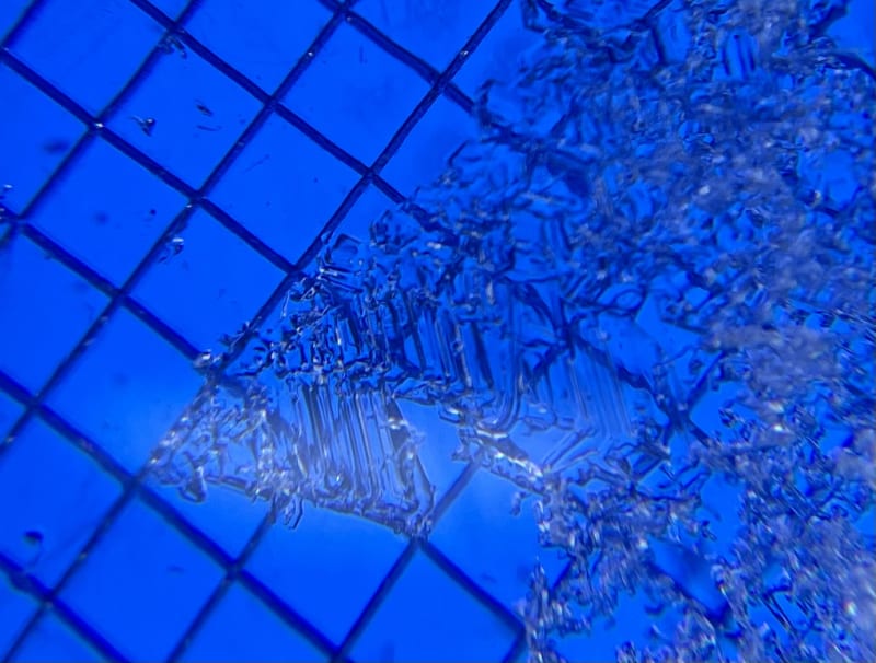 Observation photo 3