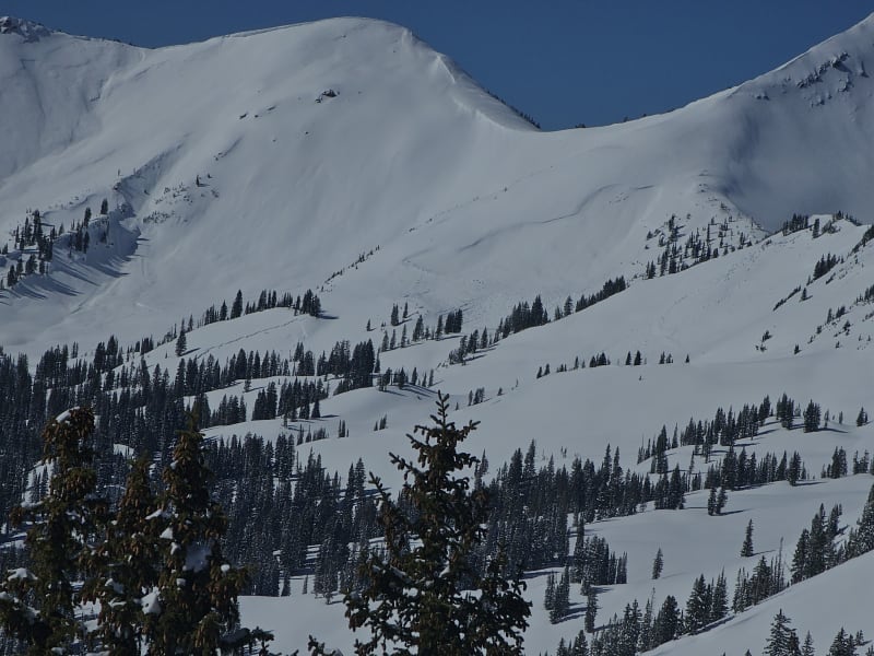 Observation photo 1