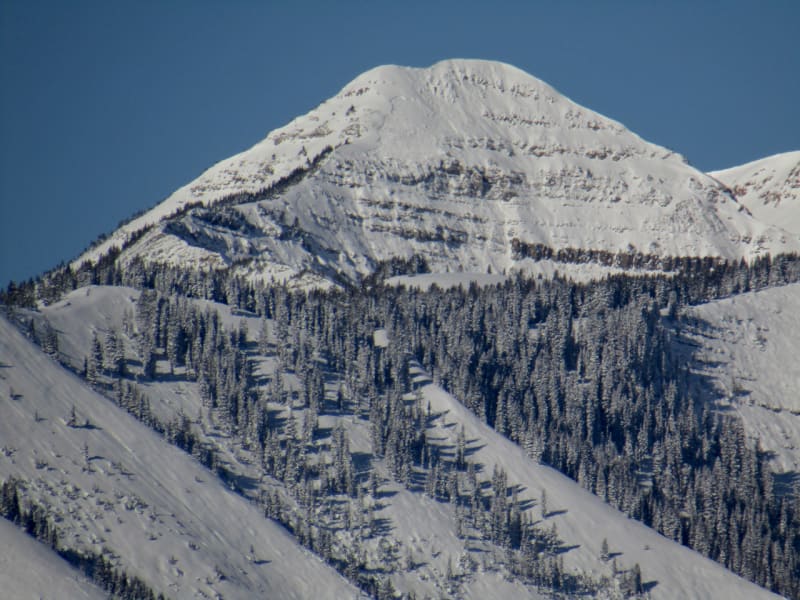Observation photo 2