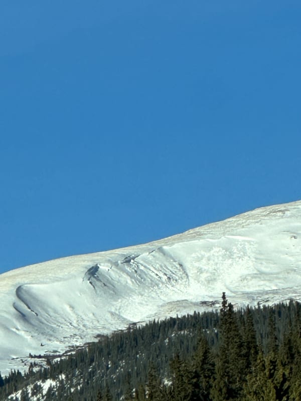 Observation photo 1