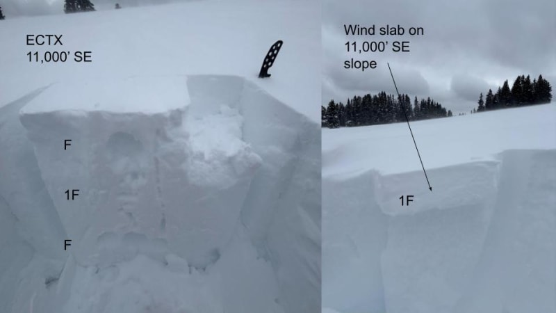 Observation photo 4