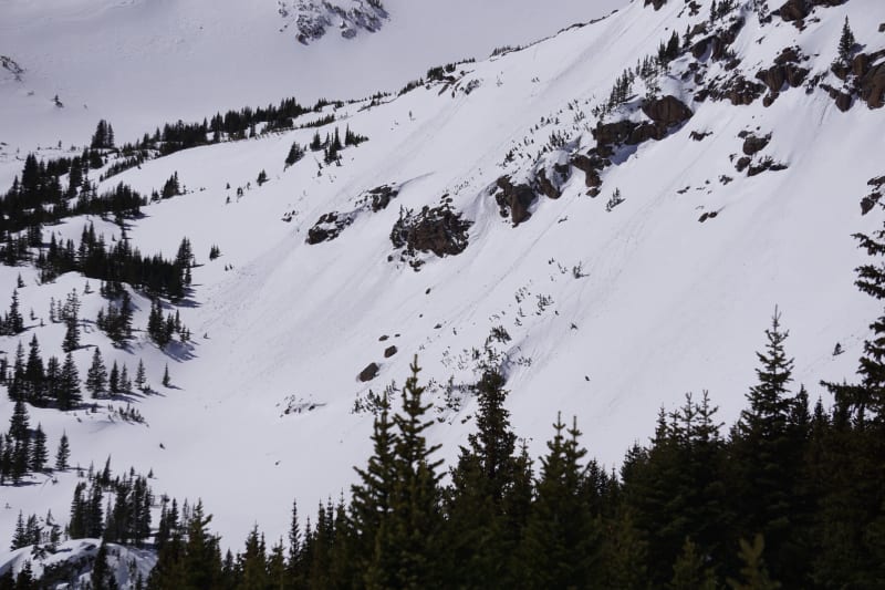 Observation photo 1