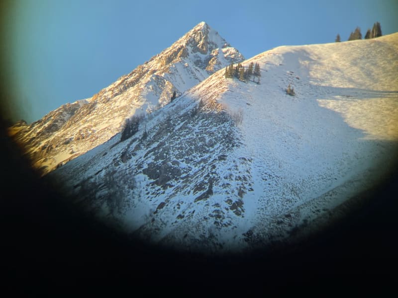 Observation photo 7